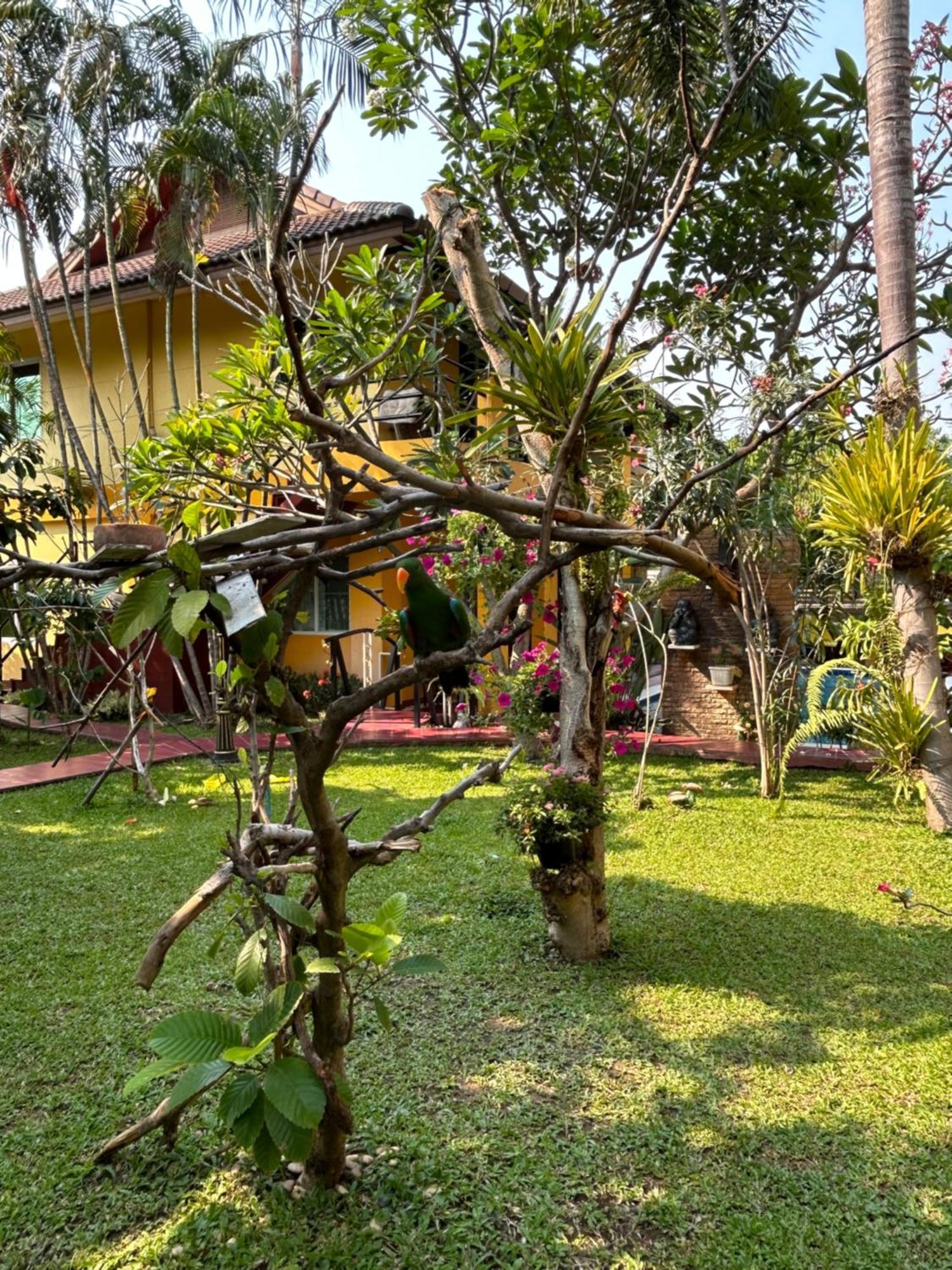 Lamduan Boutique Homestay Чіангмай Екстер'єр фото